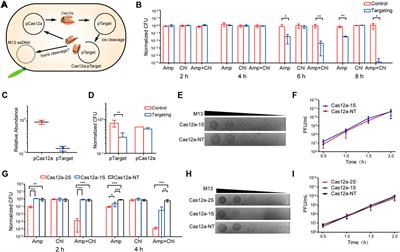 The trans DNA cleavage activity of Cas12a provides no detectable immunity against plasmid or phage